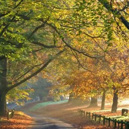 Castle Walk *